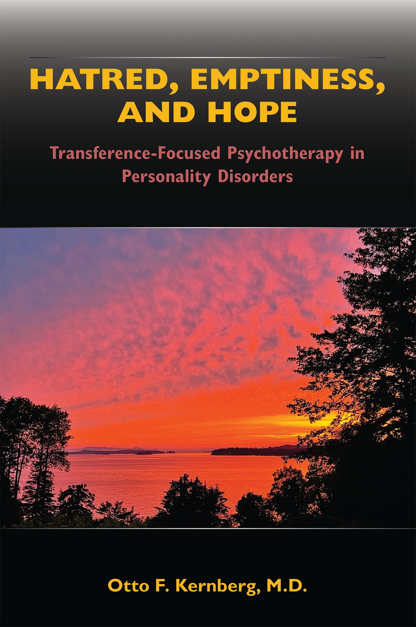 Cover image for Hatred, Emptiness, and Hope ISBN 9781615374618